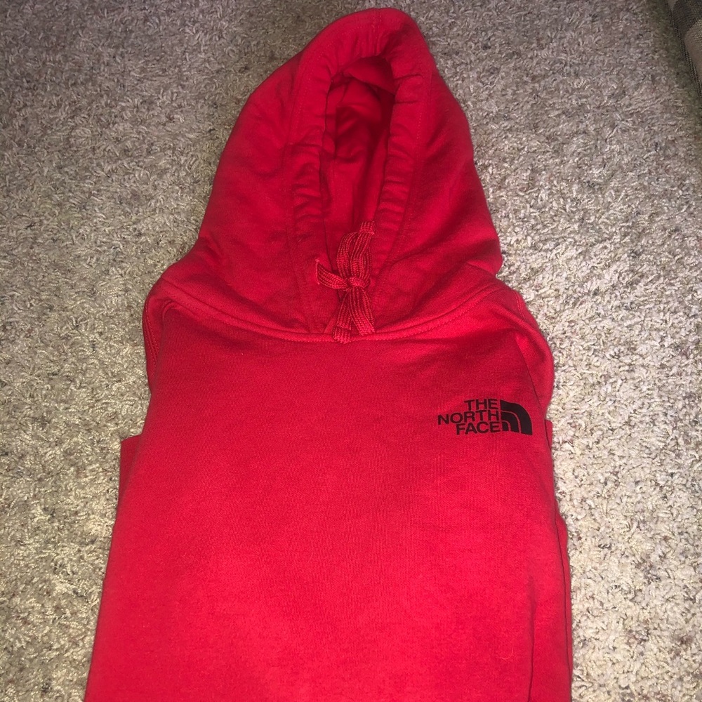 The North Face Hoodie Sweatshirt